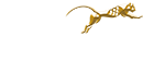 Pursuit Logo